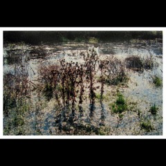 1. contar hasta diez