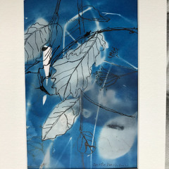 Fly Safely (live) - Original