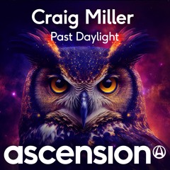 Craig Miller - Past Daylight (Radio Edit)