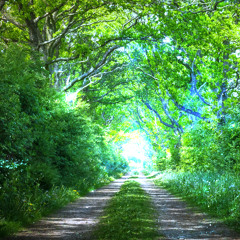 A New Journey