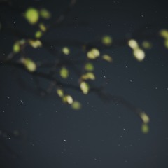 Somebody That I Used To Know