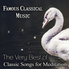 Serenade for Strings in C Major, Op. 48: I. Pezzo in forma di sonatina
