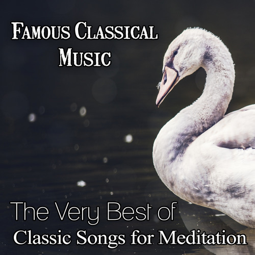 Serenade for Strings in C Major, Op. 48: I. Pezzo in forma di sonatina