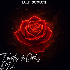 Fuentes de ortiz vol 2