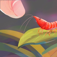 cherry shrimp and caretaker