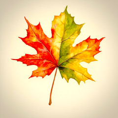 Autumn Changes
