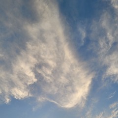 killing myself to live