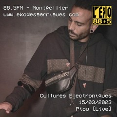 Cultures Electroniques: Piou [15/03/2023]
