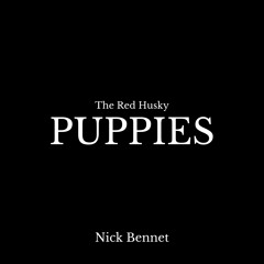 The Red Husky: Puppies