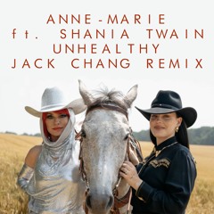 Anne-Marie ft. Shania Twain - Unhealthy - Jack Chang Remix Instrumental