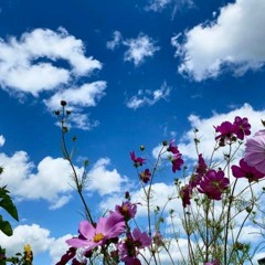 جيل الأمل ")