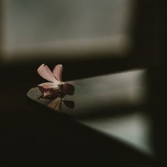 Glass Tides - I Like The Way You Kiss Me