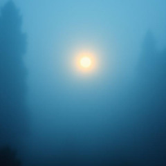 Dusky Blue Anew