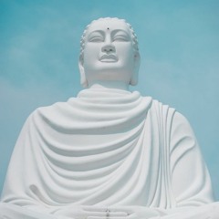 Dr Brain - Bouddha White Prewiev Forest Jump 02 (MTC 2021)