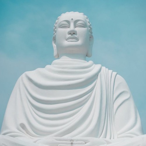 Dr Brain - Bouddha White Prewiev Forest Jump 02 (MTC 2021)