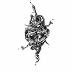 In The Viper's Nest (Instrumental)