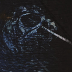 N***** Head