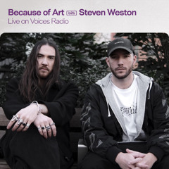 Because of Art b2b Steven Weston 02/03/26 - [Voices Radio]