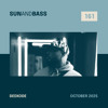 SUNANDBASS Podcast #161 - Deekode DJ mix artwork - Electronic music tracklist cover image