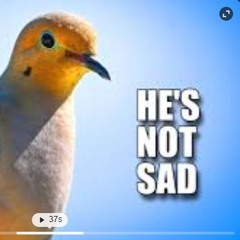 Lets R3set @teerful (me)