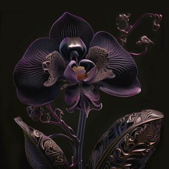 Black Orchid {Instrumental} 𝑷𝒓𝒐𝒅. 𝑩𝒚 Operation O™