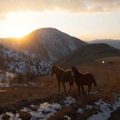 Les Chevaux Courent Dans L'ascenseur