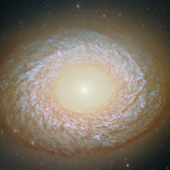 Ongoing Spiral