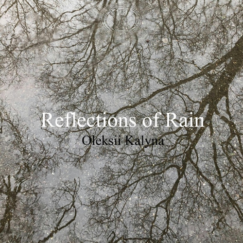Reflections of Rain