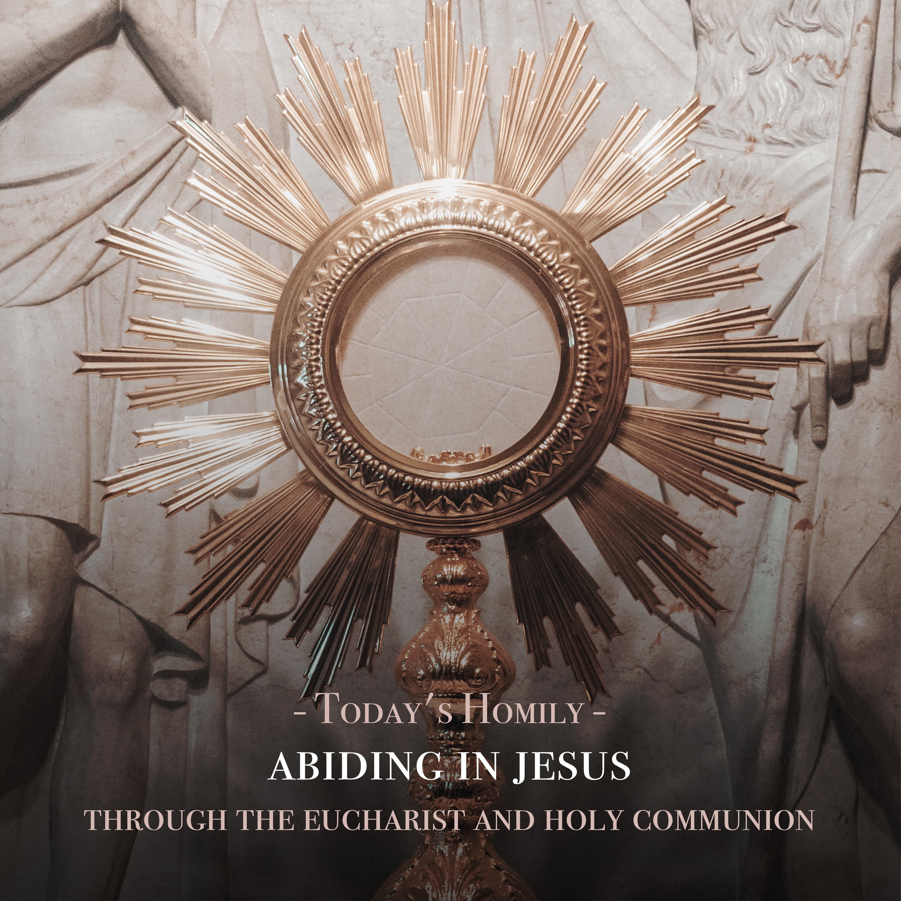 Fr. Barry Braum - Homilies and Conferences