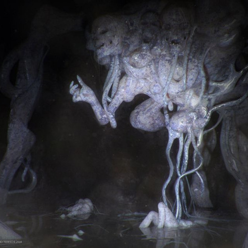 MOTHS OF IGNORANCE (PROD. TRYNACOMMUNICATE)