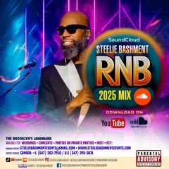 steeliebashment R&B 2025 mix