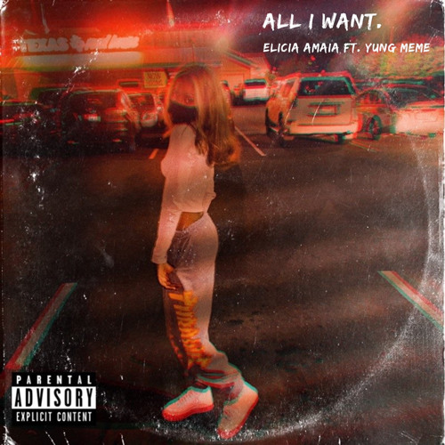 All I Want (FT. Yung Meme)
