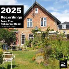 Croco - Cant Stop (RHCP) v01