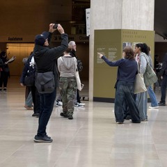 PARIS Wandering (Francois)