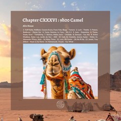 Chapter LXXXVI : 9h00 Camel
