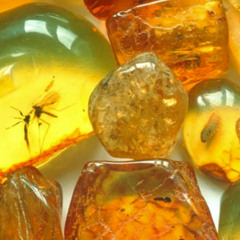 Amber