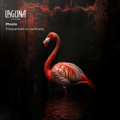 Pheelo - Frequencies in Darkness EP [PRE-ORDER]
