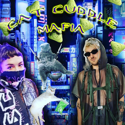 Realitaetsmanagement_Posse - Cat Cuddle Mafia
