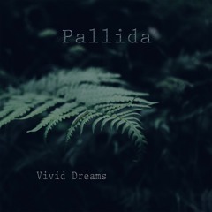 Vivid Dreams