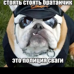 Святая Свага