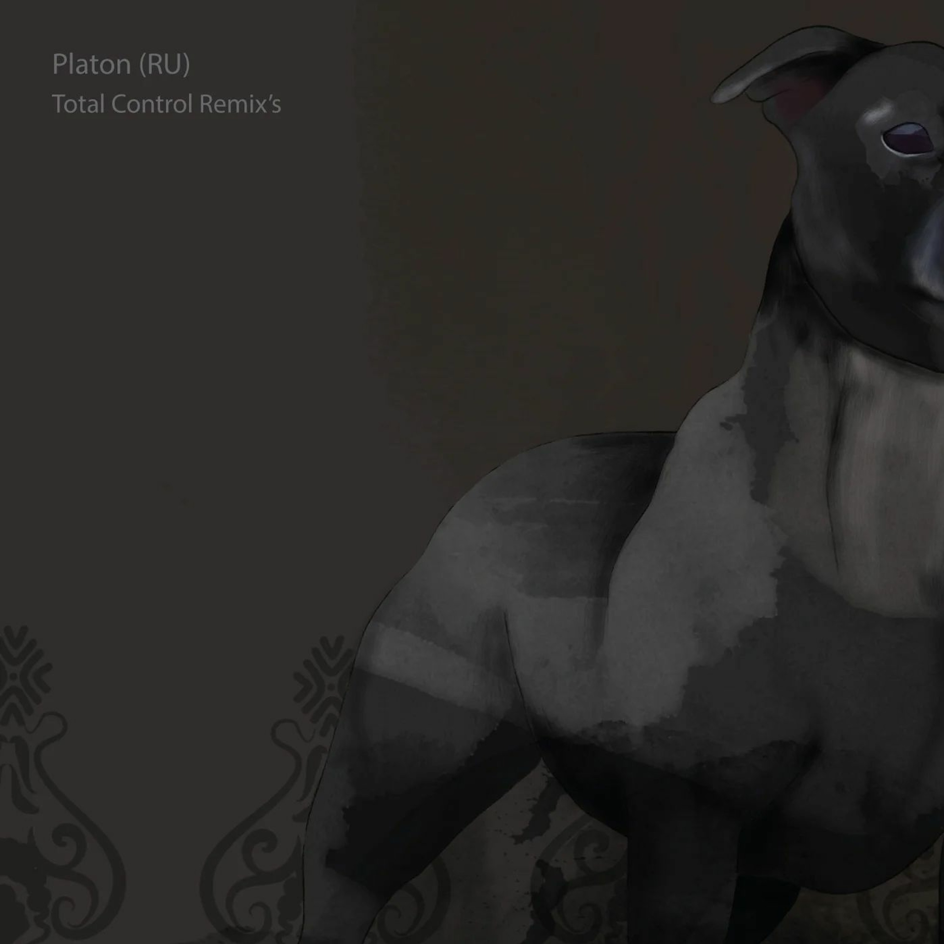 Platon - Total Control [Steven Flynn Remix] episode artwork