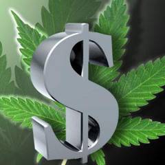 Real Weed (Prod. Fein Guwop, Trapp Gwalla)