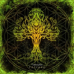 Tomosaku - Terrane (Original Mix)