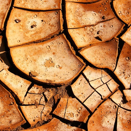 Setsept (synth performance)