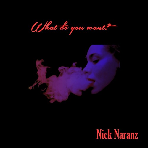 What Do You Want - Nick Naranz