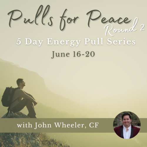 Day 4 - Pulls for Peace Round 2