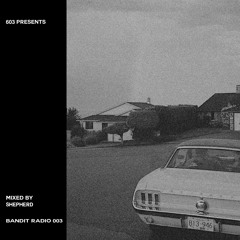 Bandit Radio 003 - Mixed By SHEPHERD