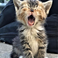 Šroubovej VONDRA V2