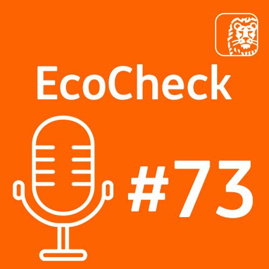 Stream EcoCheck #73 - Staan we voor een correctie op de vastgoedmarkt ...
