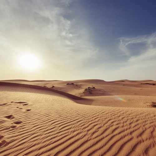 Dust And Dawn (2024)